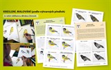 Publikace PTAČÍ ZAHRADA – náměty pro badatelskou činnost žáků, CD s metodickými listy pro učitele a žáky